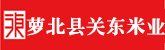 大鸡巴肏逼视频